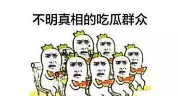 带你成为吃瓜群众,带你轻松成为吃瓜群众的必备指南  第1张